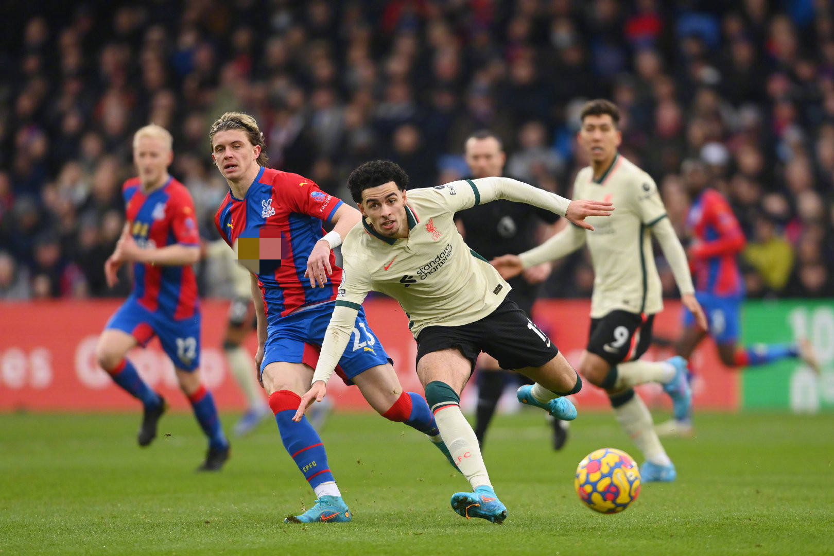 小麦和拉姆 小麦和拉姆